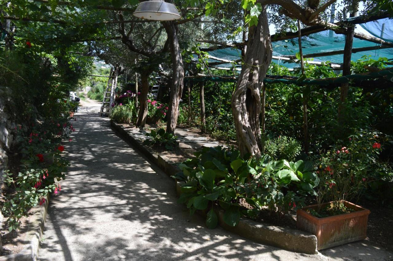 La Petra Villa Vico Equense Buitenkant foto