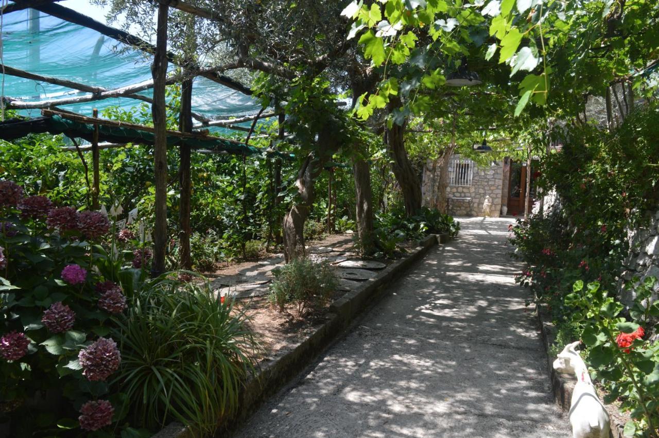 La Petra Villa Vico Equense Buitenkant foto