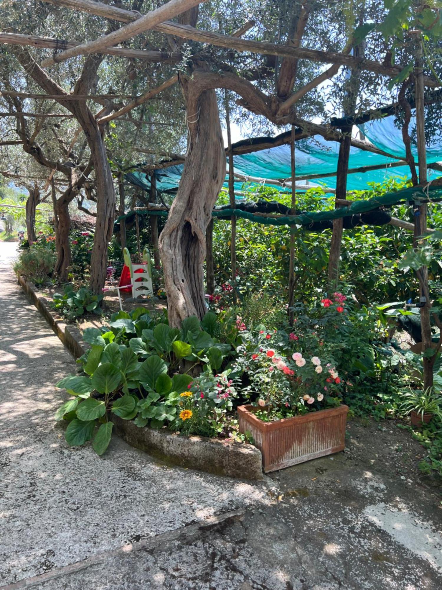La Petra Villa Vico Equense Buitenkant foto