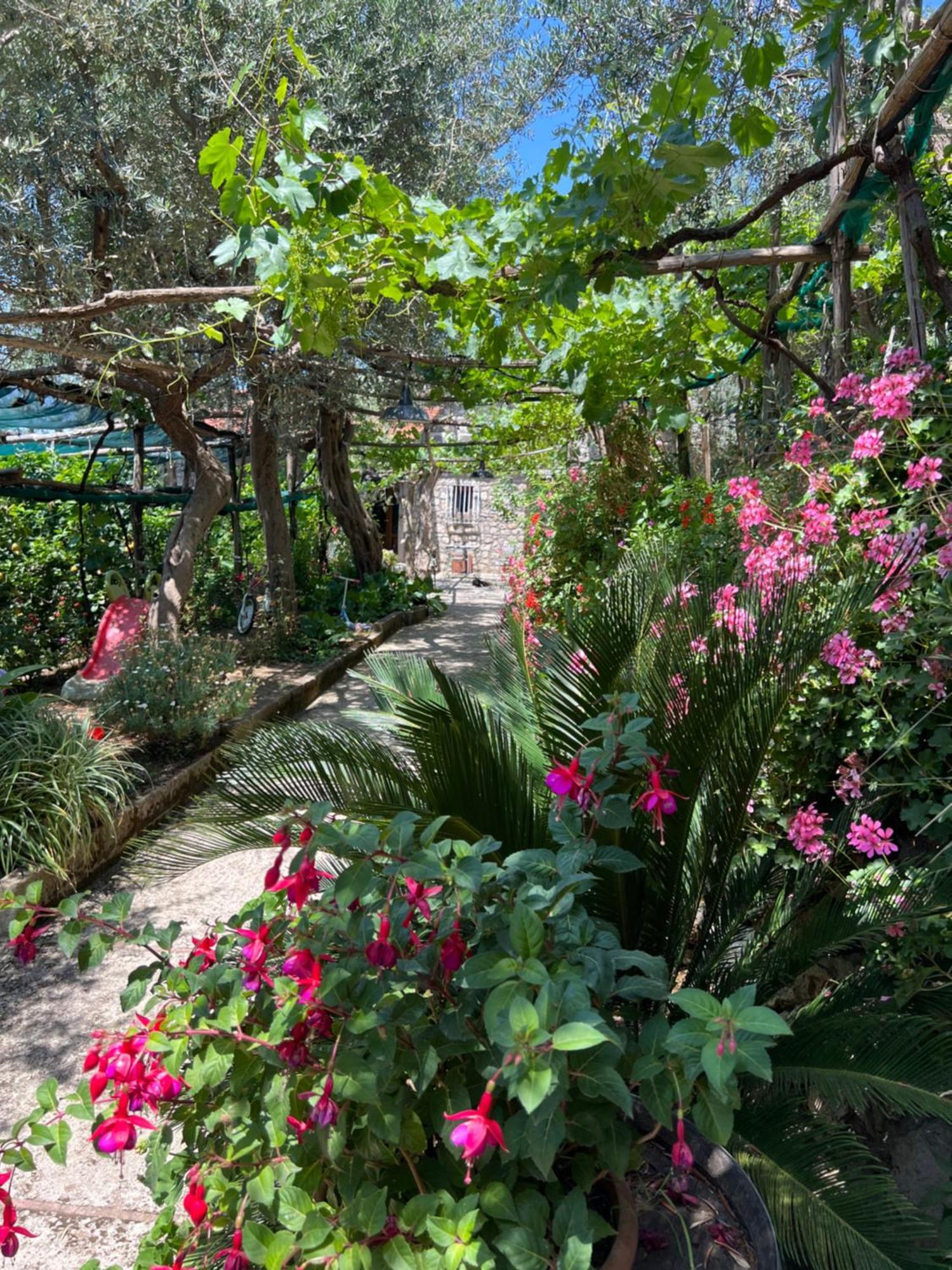 La Petra Villa Vico Equense Buitenkant foto