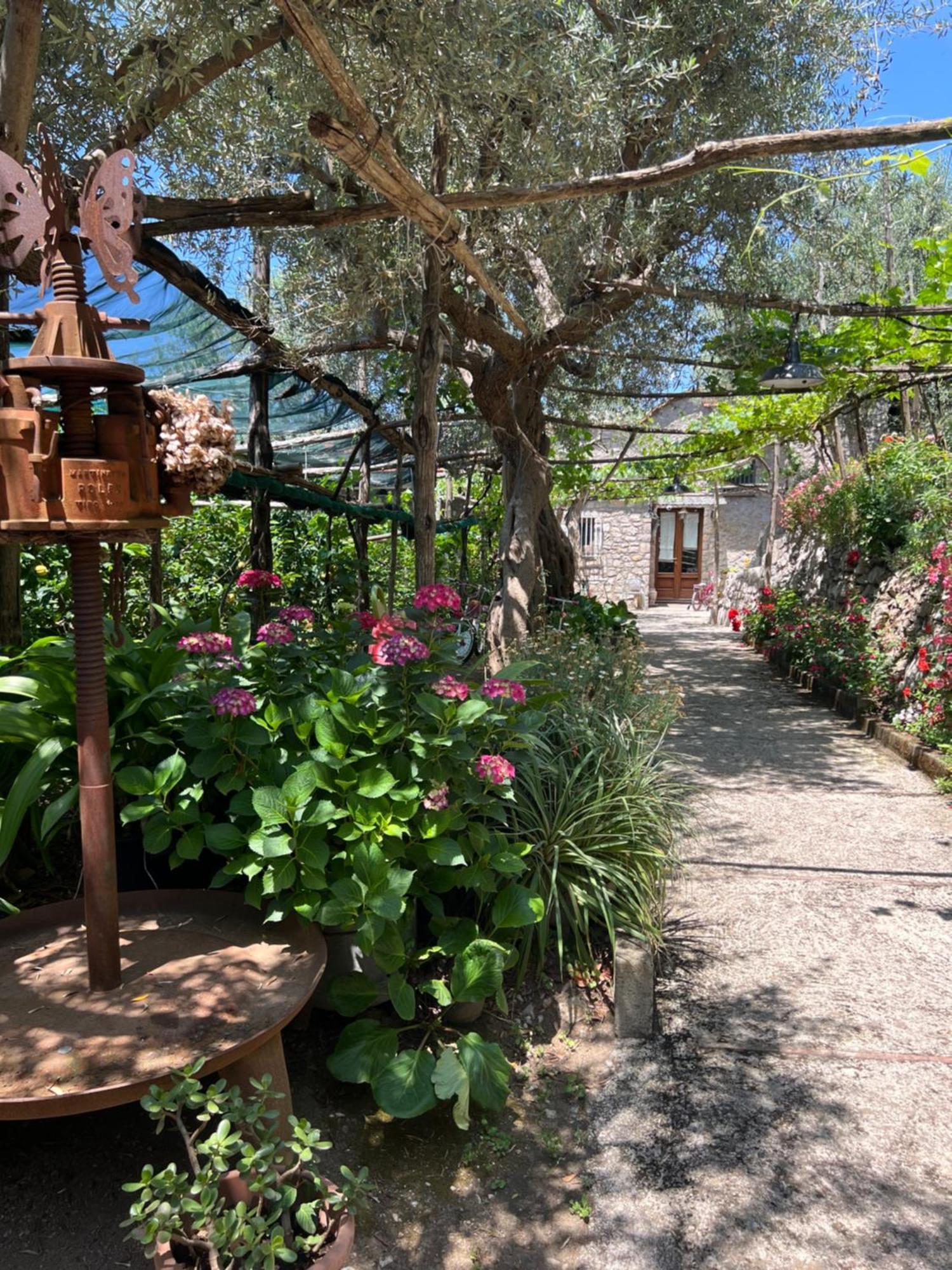 La Petra Villa Vico Equense Buitenkant foto