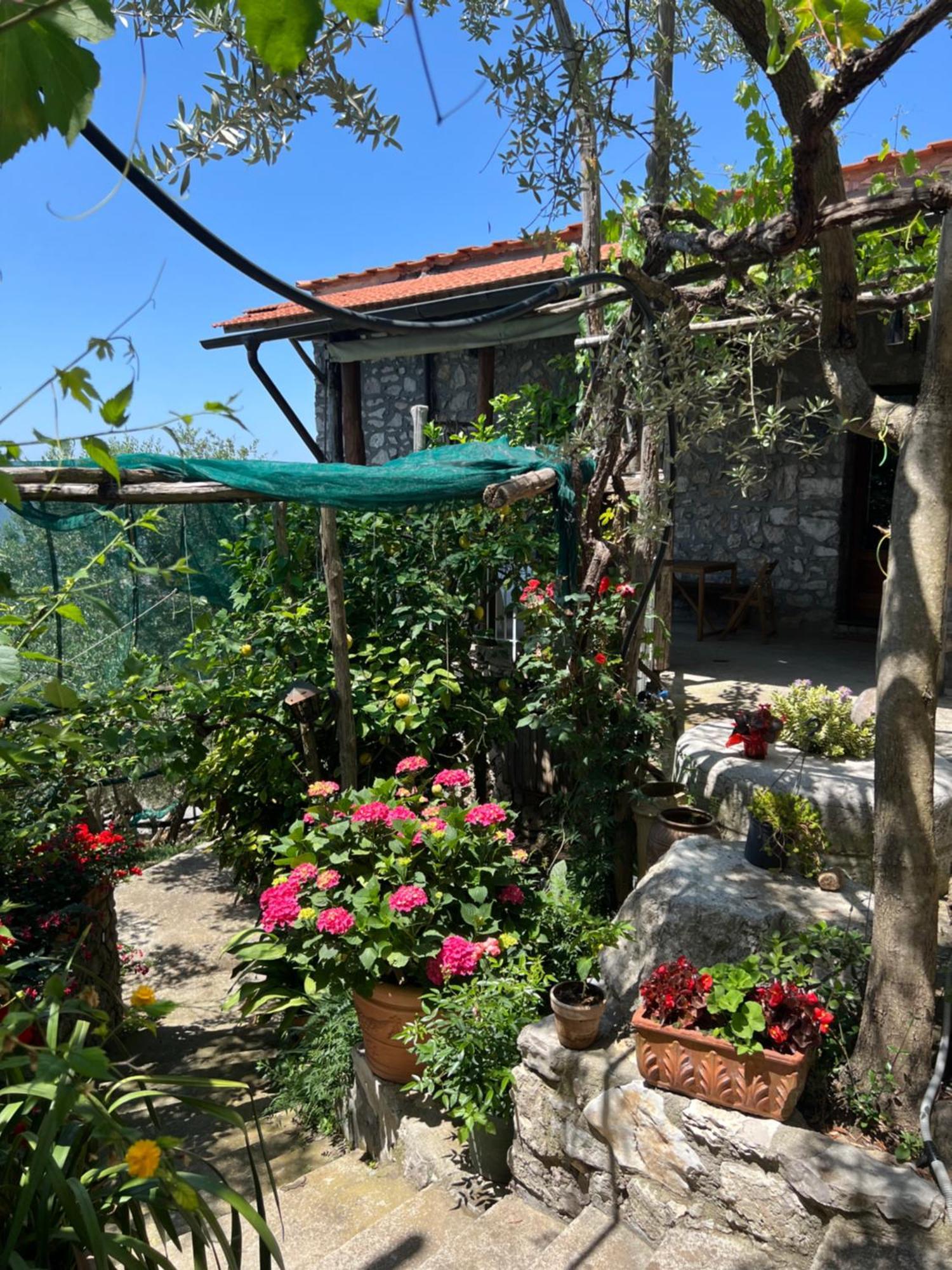 La Petra Villa Vico Equense Buitenkant foto