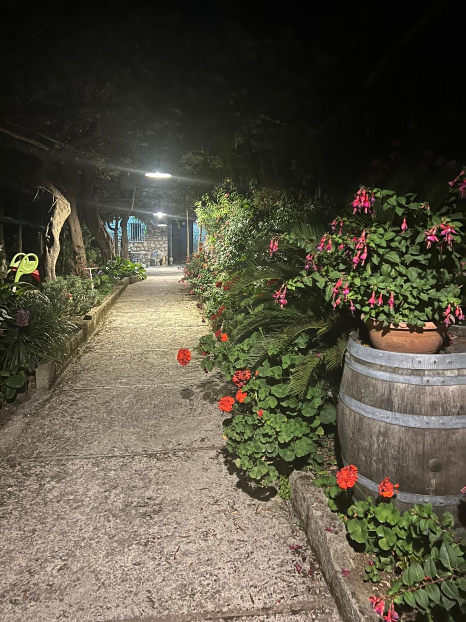 La Petra Villa Vico Equense Buitenkant foto